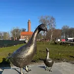 Zakrecona Fala Let's Sea * Gąski