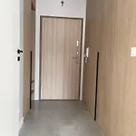 Zakrecona Fala Let's Sea * Gąski
