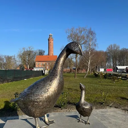 Zakręcona Fala Let's Sea * Gąski