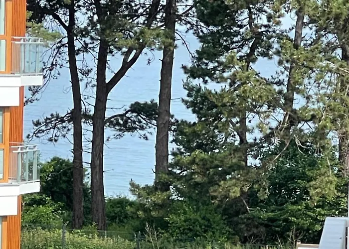 Zakrecona Fala Let's Sea