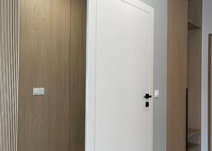 Zakrecona Fala Let's Sea