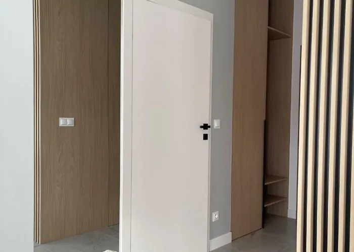 Zakrecona Fala Let's Sea *